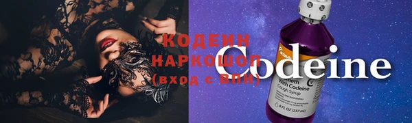 индика Балахна