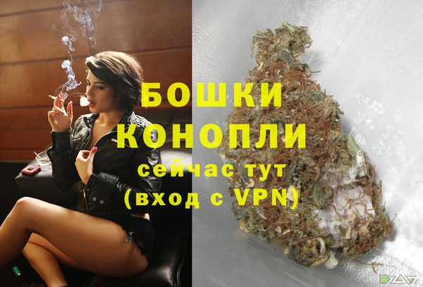 хмурый Арсеньев