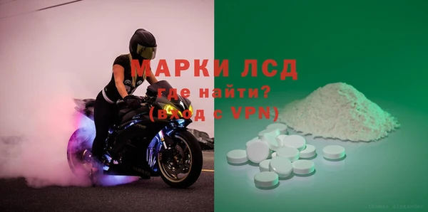 индика Балахна