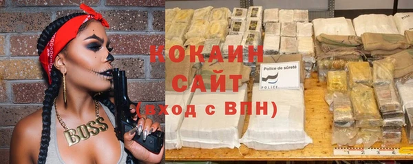 индика Балахна