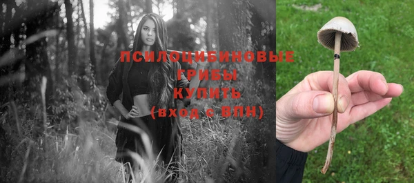 индика Балахна